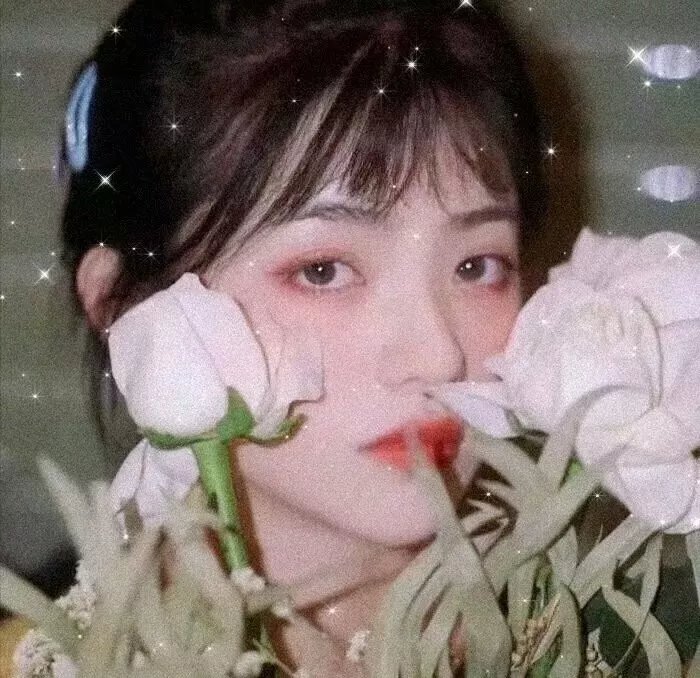 水果篮子 最终季
